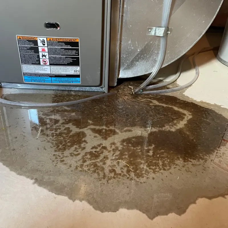 Appliance Leak Cleanup in Milton, LA